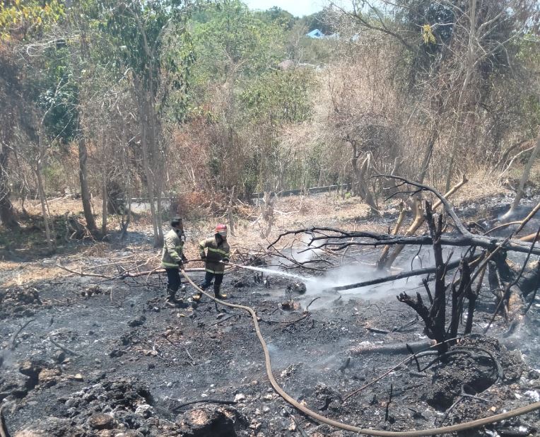 Pemkot Baubau Himbau Waspadai Titik Api Sebagai Dampak El Nino Tahun 2023
