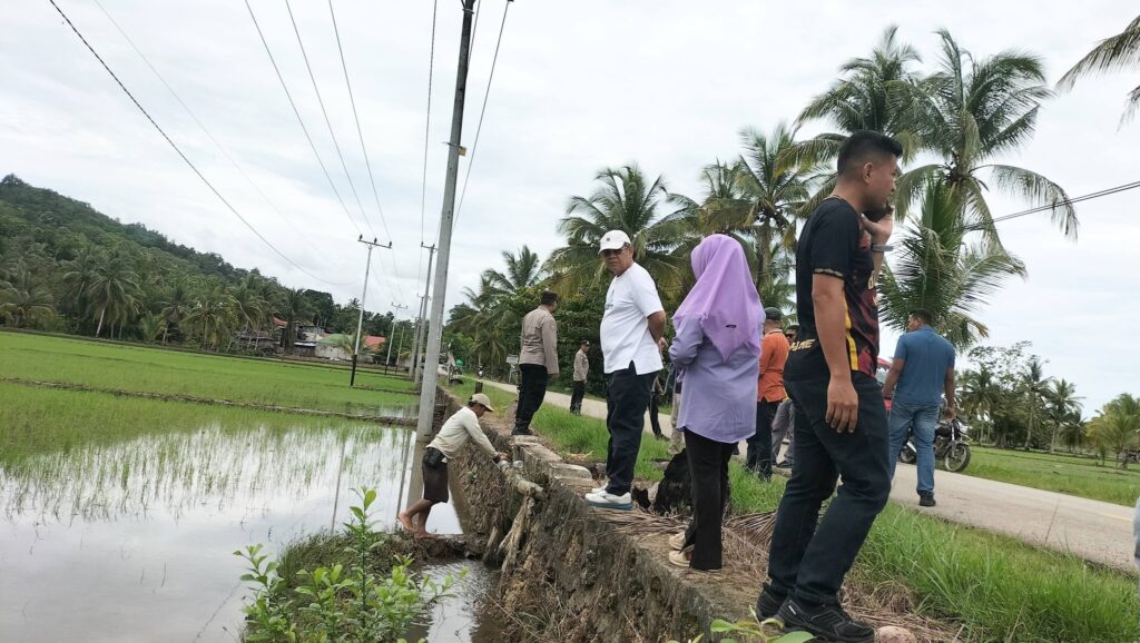 Wali Kota HYF Soroti Masalah Sedimen Usai Banjir Sawah di Bungi, Pemkot Baubau Prioritaskan Pembenahan Irigasi