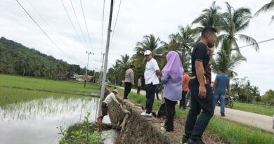 Wali Kota HYF Soroti Masalah Sedimen Usai Banjir Sawah di Bungi, Pemkot Baubau Prioritaskan Pembenahan Irigasi