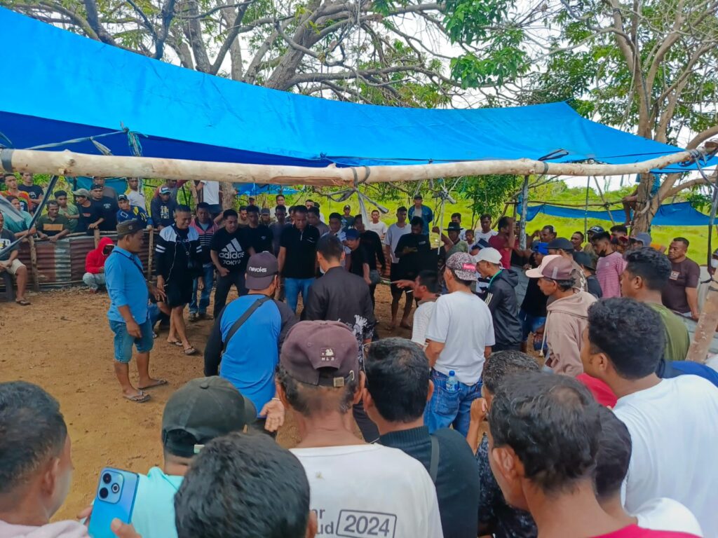 Warga Resah, Dugaan Judi Sabung Ayam di Kampung Kadatua - Buton Selatan Kian Tak Terkendali