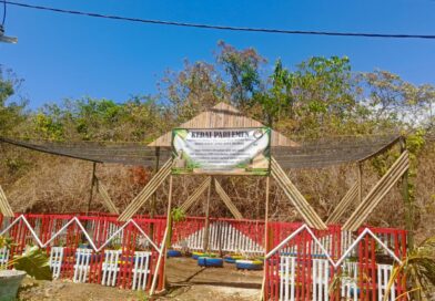 Dari Lahan Terbengkalai, DWP DPRD Baubau Sulap Lahan Kosong Menjadi Kebun Bumbu Produktif