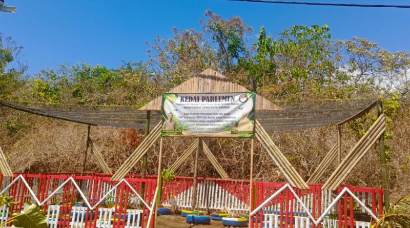 Dari Lahan Terbengkalai, DWP DPRD Baubau Sulap Lahan Kosong Menjadi Kebun Bumbu Produktif