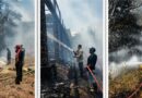 Baubau Dilanda 10 Kebakaran Lahan hingga Mengancam Permukiman dalam Dua Hari , Damkar Baubau Kerahkan Armada dan Minta Warga Jangan Bakar Sampah