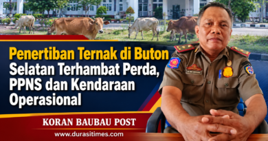 Penertiban Ternak di Buton Selatan Terhambat Perda, PPNS dan Kendaraan Operasional
